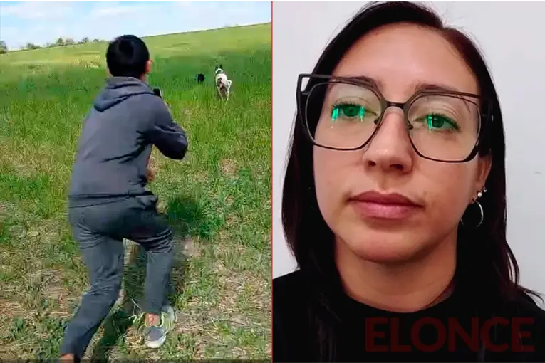 Identificaron y denunciaron a tres menores por maltrato y muerte de un gatito en General Ramírez