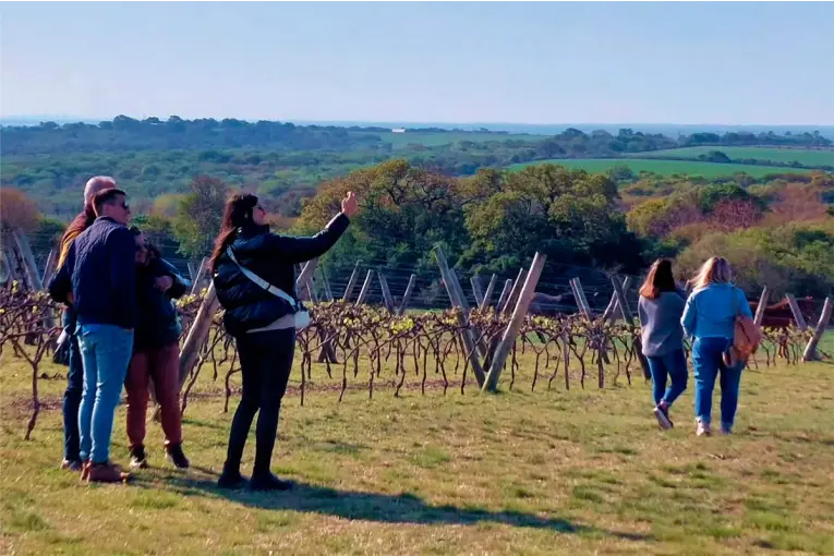Paraná será sede de las Jornadas Nacionales de Turismo del Vino