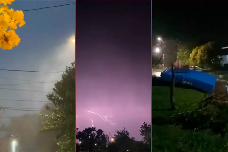 Videos del temporal en el sur entrerriano: diluvio, árboles caídos y voladuras de techos