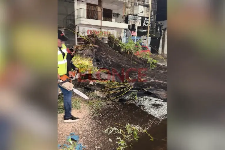 Tormenta en Paraná: desplegaron 10 equipos y advierten por otro frente en la madrugada