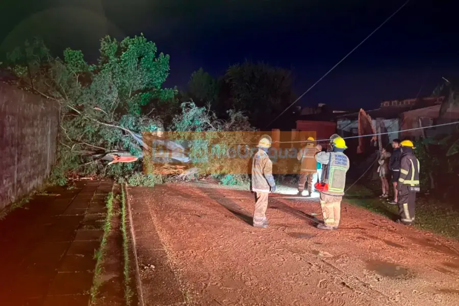 Temporal en Concordia (foto Diario R&iacute;o Uruguay)