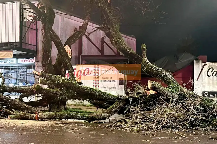 Temporal en Concordia (foto Diario R&iacute;o Uruguay)