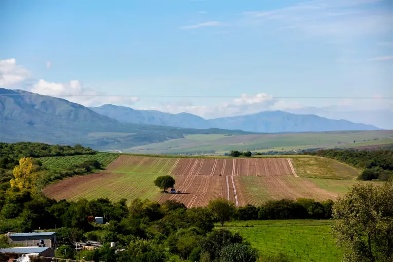 La Corte Suprema suspendió la derogación de la Ley de Tierras