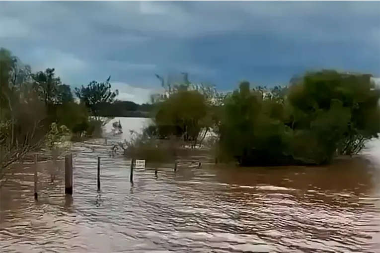 Crecida del río Uruguay: Colón se acerca al nivel de evacuación y alertan por nuevas subas