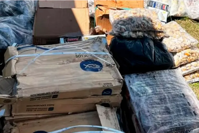 Decomisaron 200 kilos de pescados y mariscos transportados de manera irregular en Entre Ríos