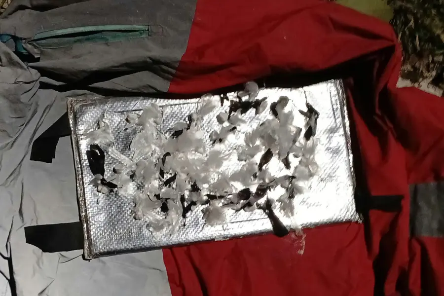 Detuvieron a un joven con 58 envoltorios de cocaína (foto Policía de Entre Ríos)