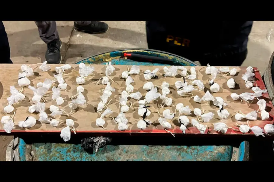 Operativo antidrogas en Federaci&oacute;n (foto Polic&iacute;a de Entre R&iacute;os)