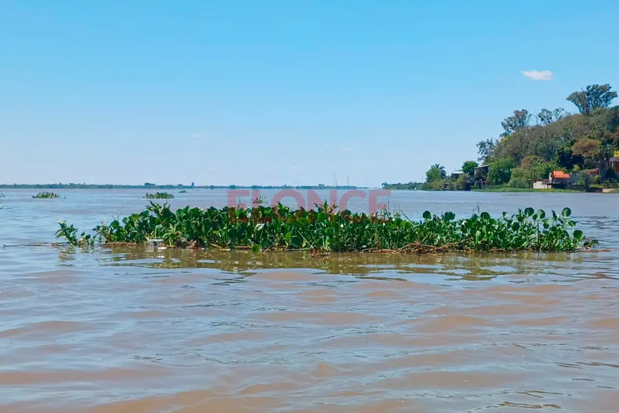 El r&iacute;o Paran&aacute; mide 3,79 metros en la capital entrerriana (foto Elonce)