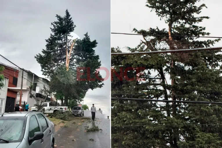 Video: una cámara captó el momento exacto en que un rayo impactó sobre un árbol en Paraná