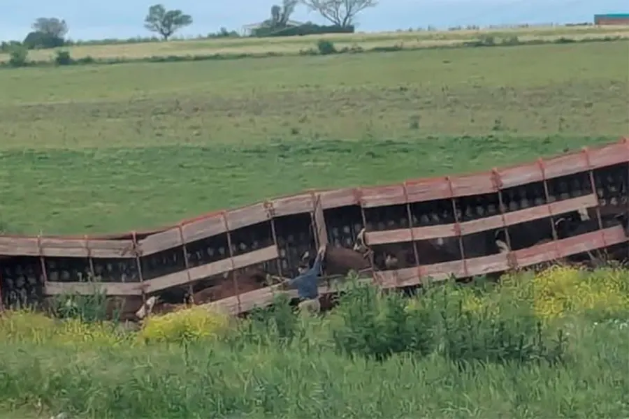 (El Observador del Litoral)