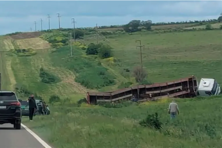Un camión con vacunos despistó en la Ruta 131 y debieron trasladar los animales a un campo