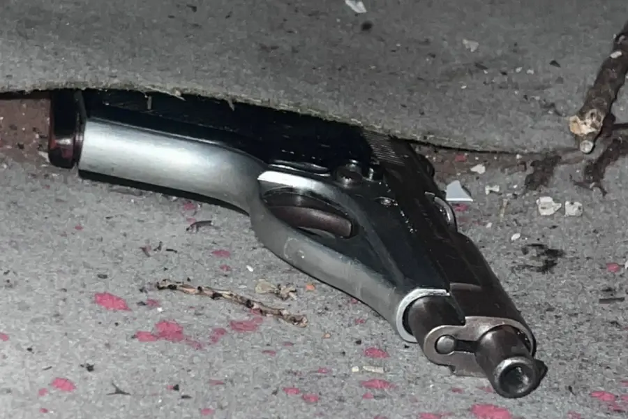 Las armas incautadas en barrio Macarone (foto Elonce)