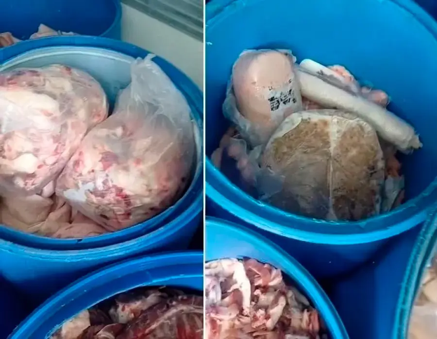 Decomiso de carne en mal estado en Paraná (foto Estación Plus Crespo)