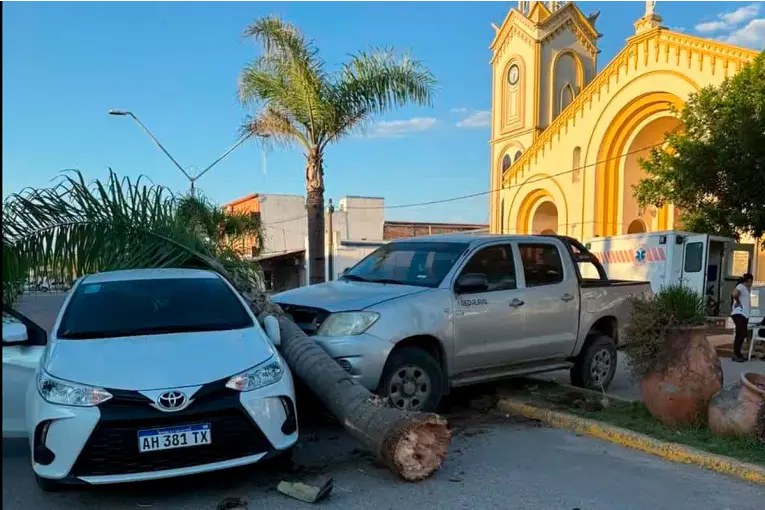 Triple choque en avenida de Bovril: un utilitario chocó a una Hilux que derribó una palmera y terminó contra un auto