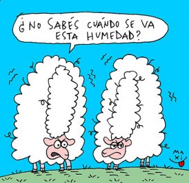 Humedad