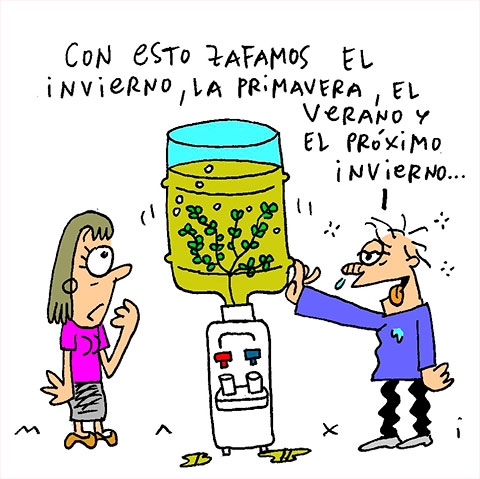 Ca&ntilde;a con ruda