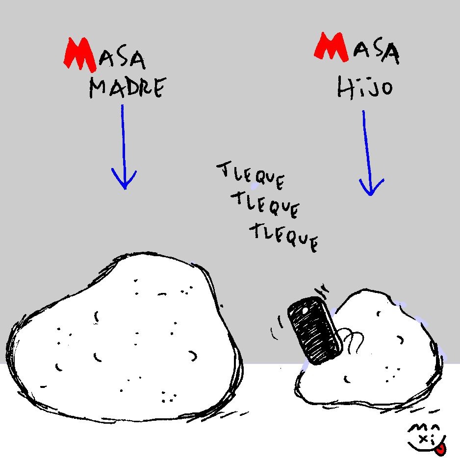 Masa madre