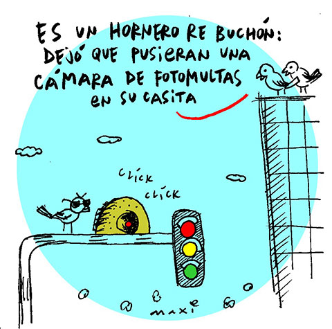 Fotomultas
