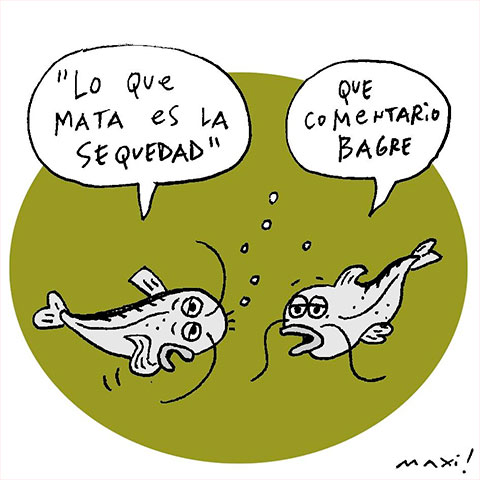 Bagre